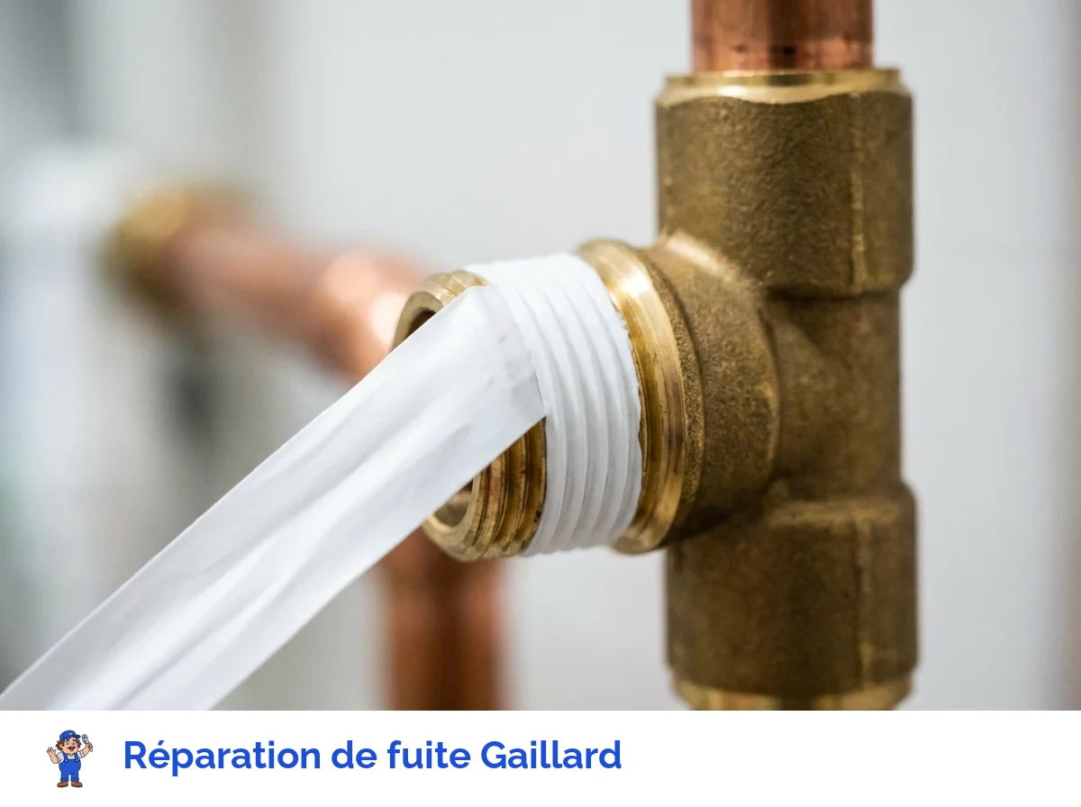 Réparation de fuite à Gaillard